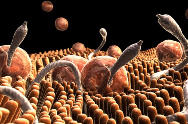 паразити во човечкото тело