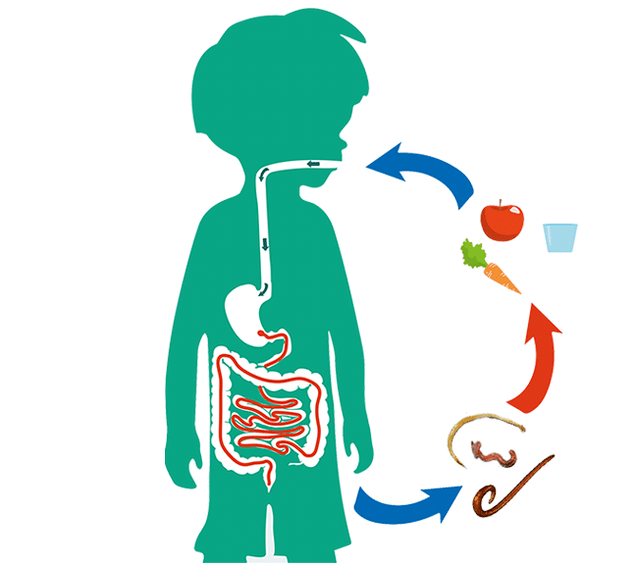 патишта на човечка инфекција со паразити